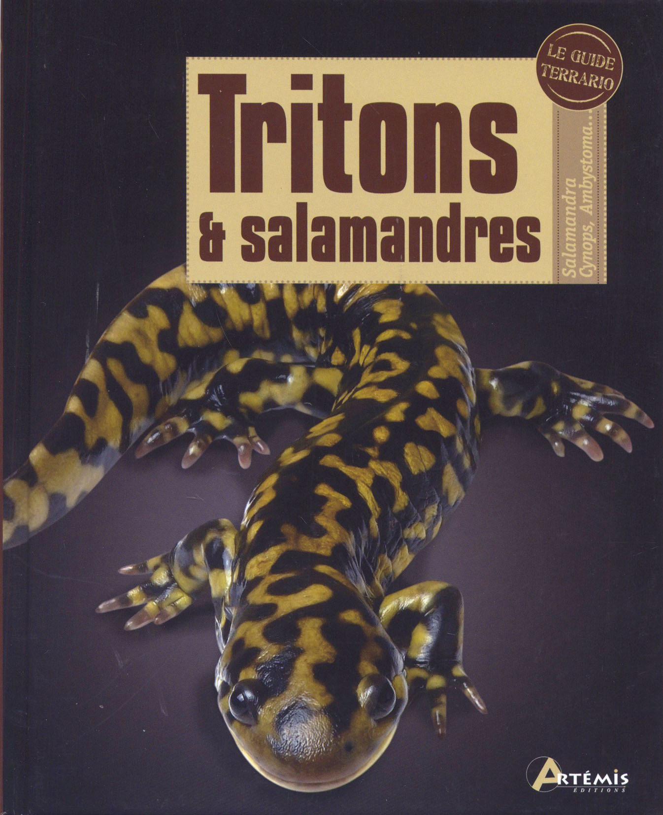 Tritons et salamandres