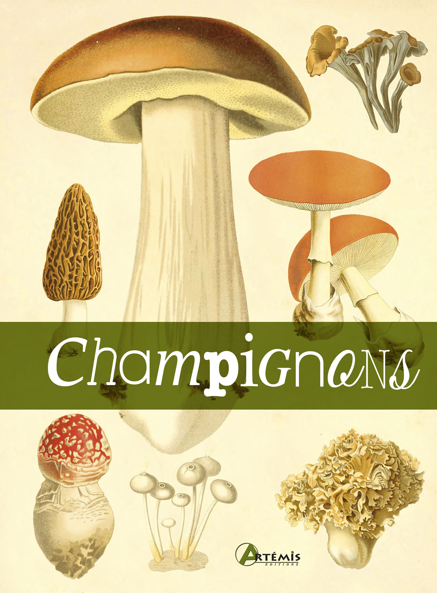 Le livre des champignons