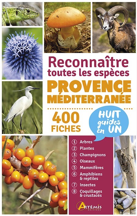 Provence-Méditerranée, reconnaître toutes les espèces