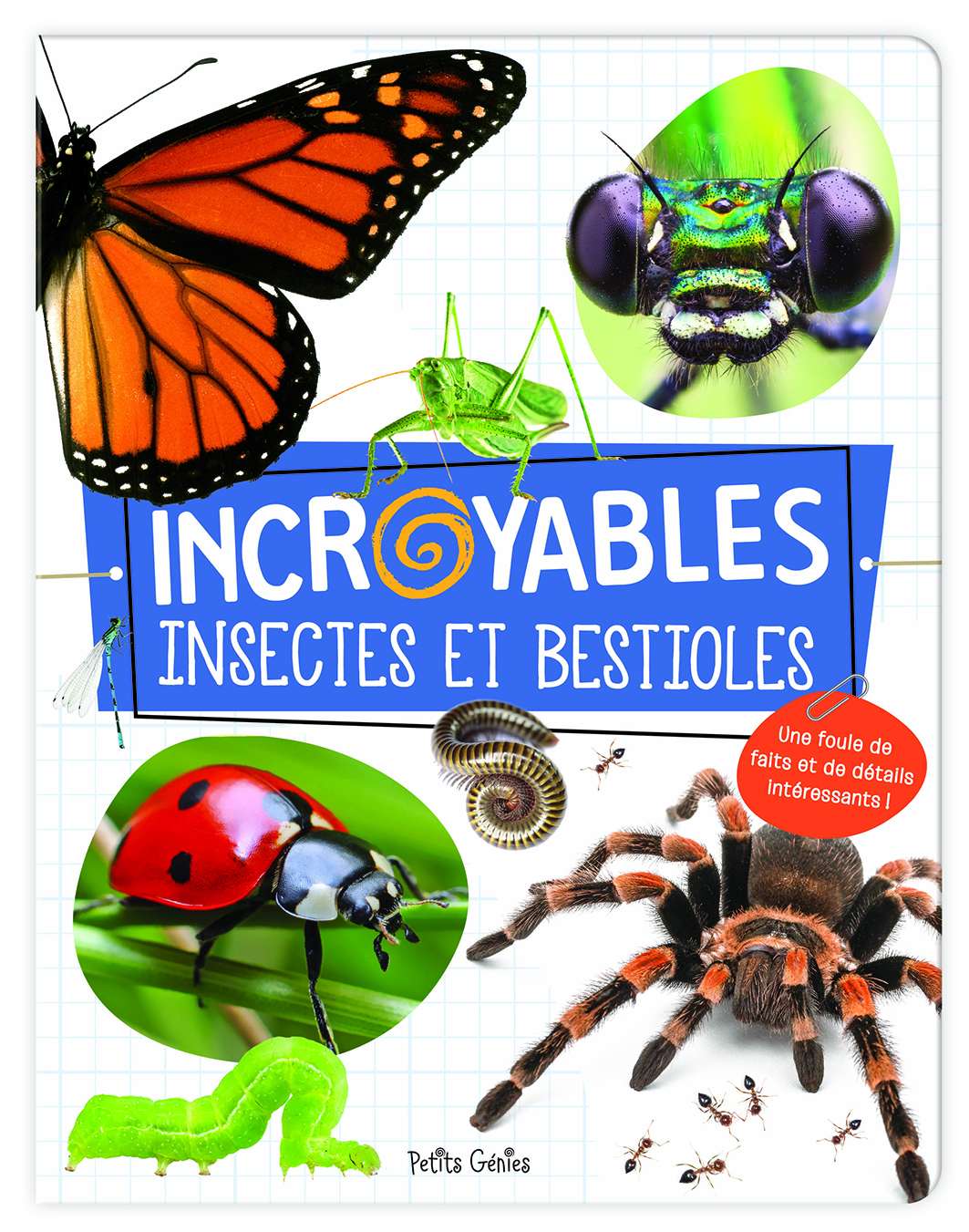 Incroyables insectes et bestioles