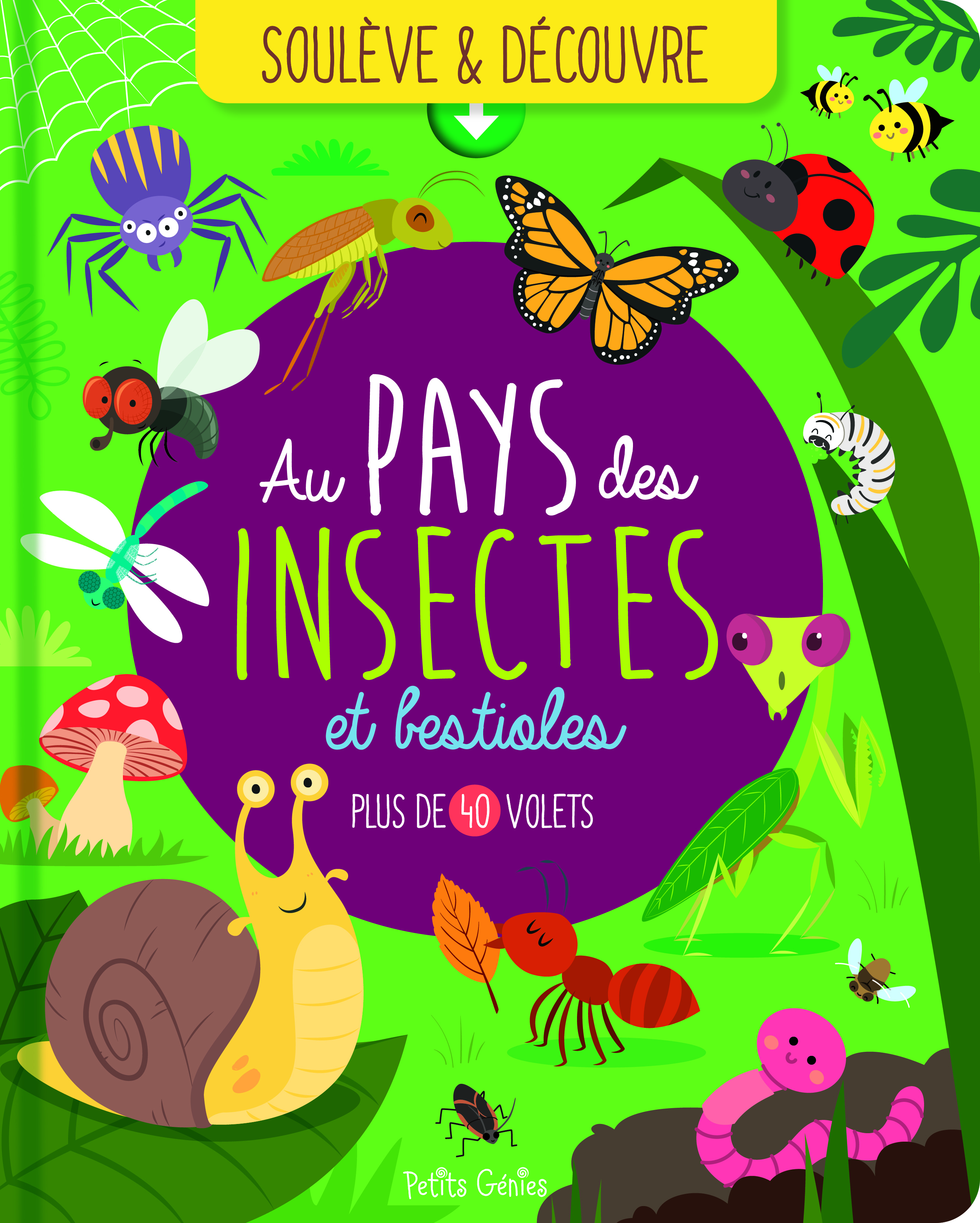 Soulève et découvre - Au pays des insectes et bestioles