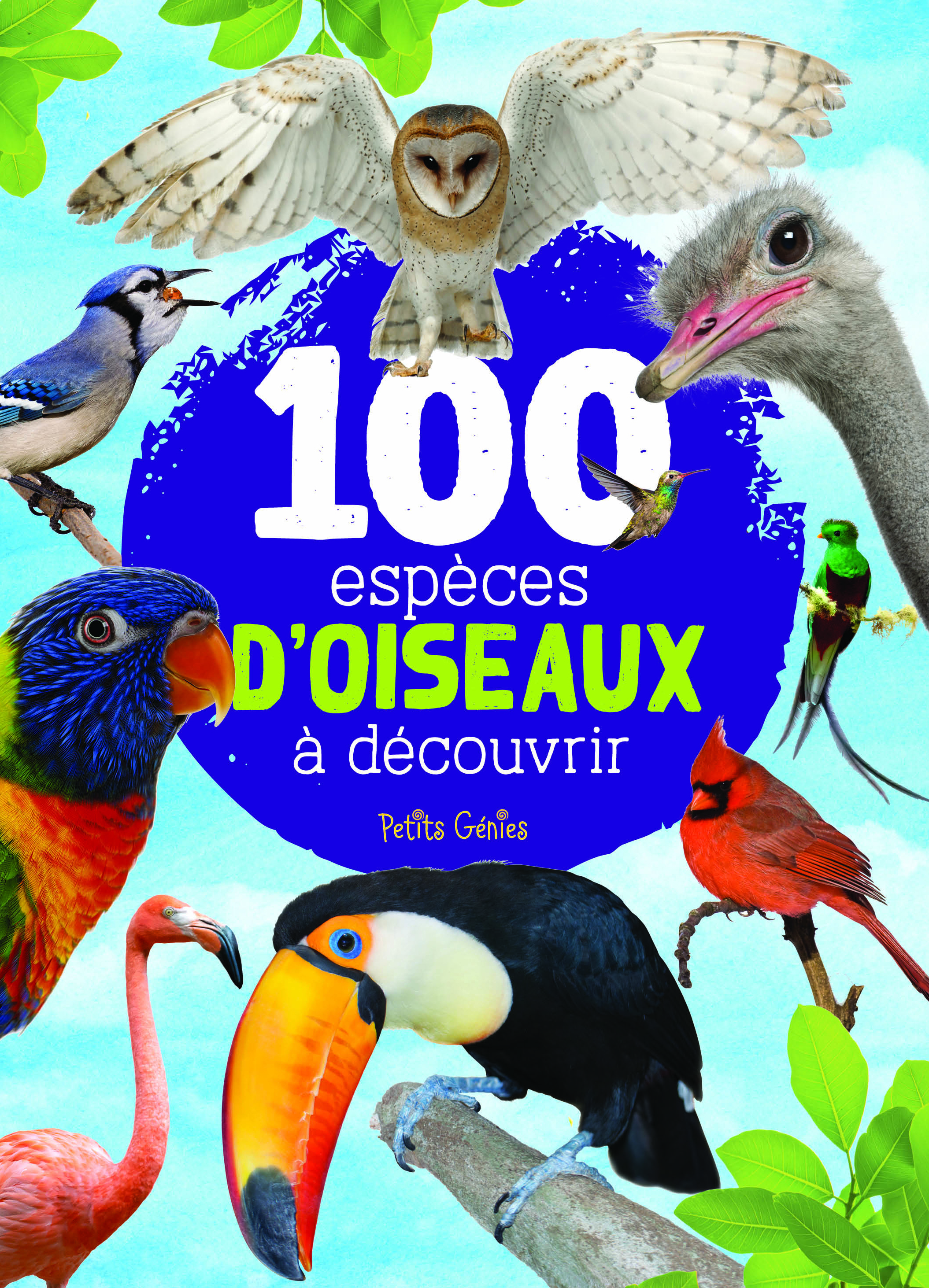 100 espèces d'oiseaux à découvrir