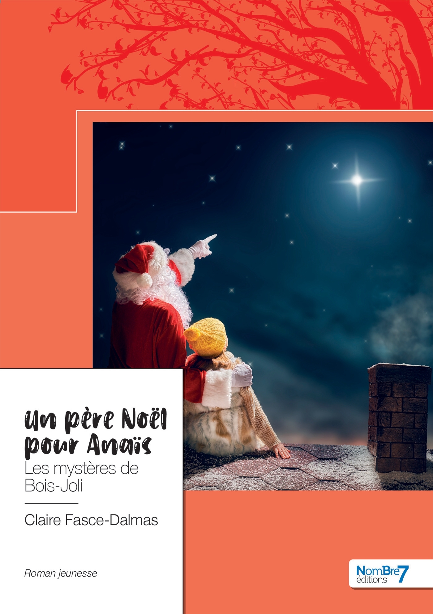 Un père Noël pour Anaïs