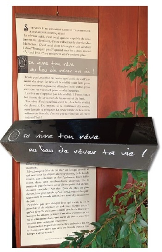 Kakemono “Ose vivre ton rêve au lieu de rêver ta vie”