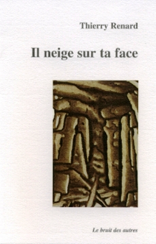 IL NEIGE SUR TA FACE