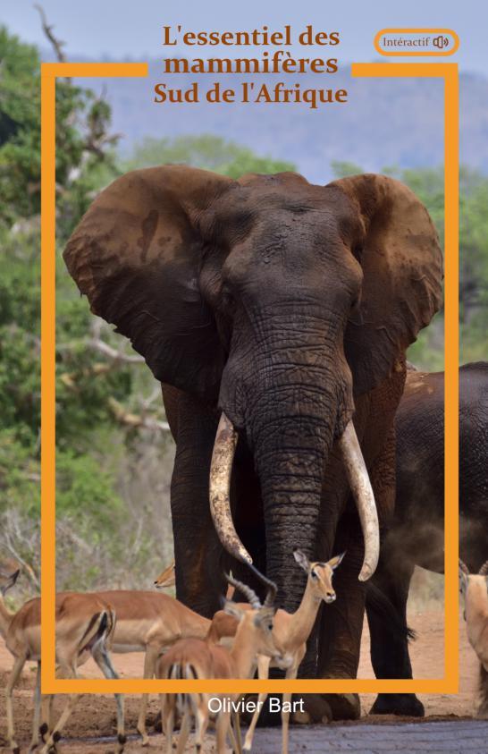 L'essentiel des mammifères Sud Afrique