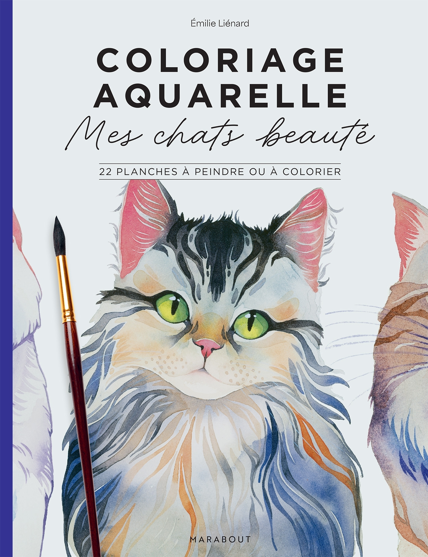 Mes chats beautés