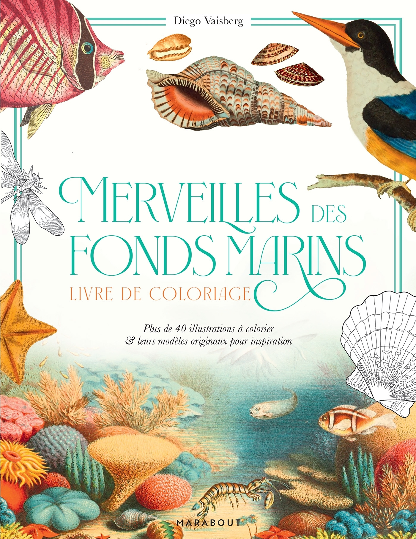 Merveilles des fonds marins