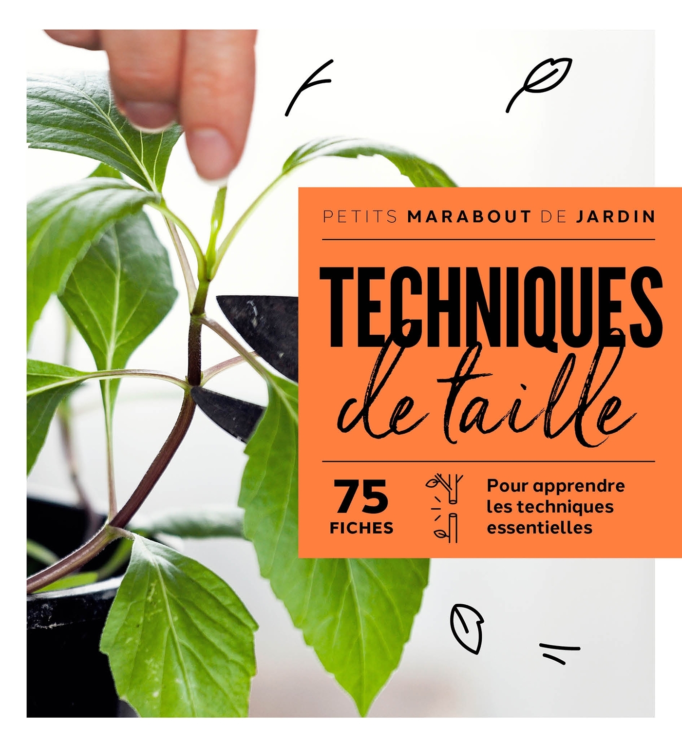 Techniques de taille