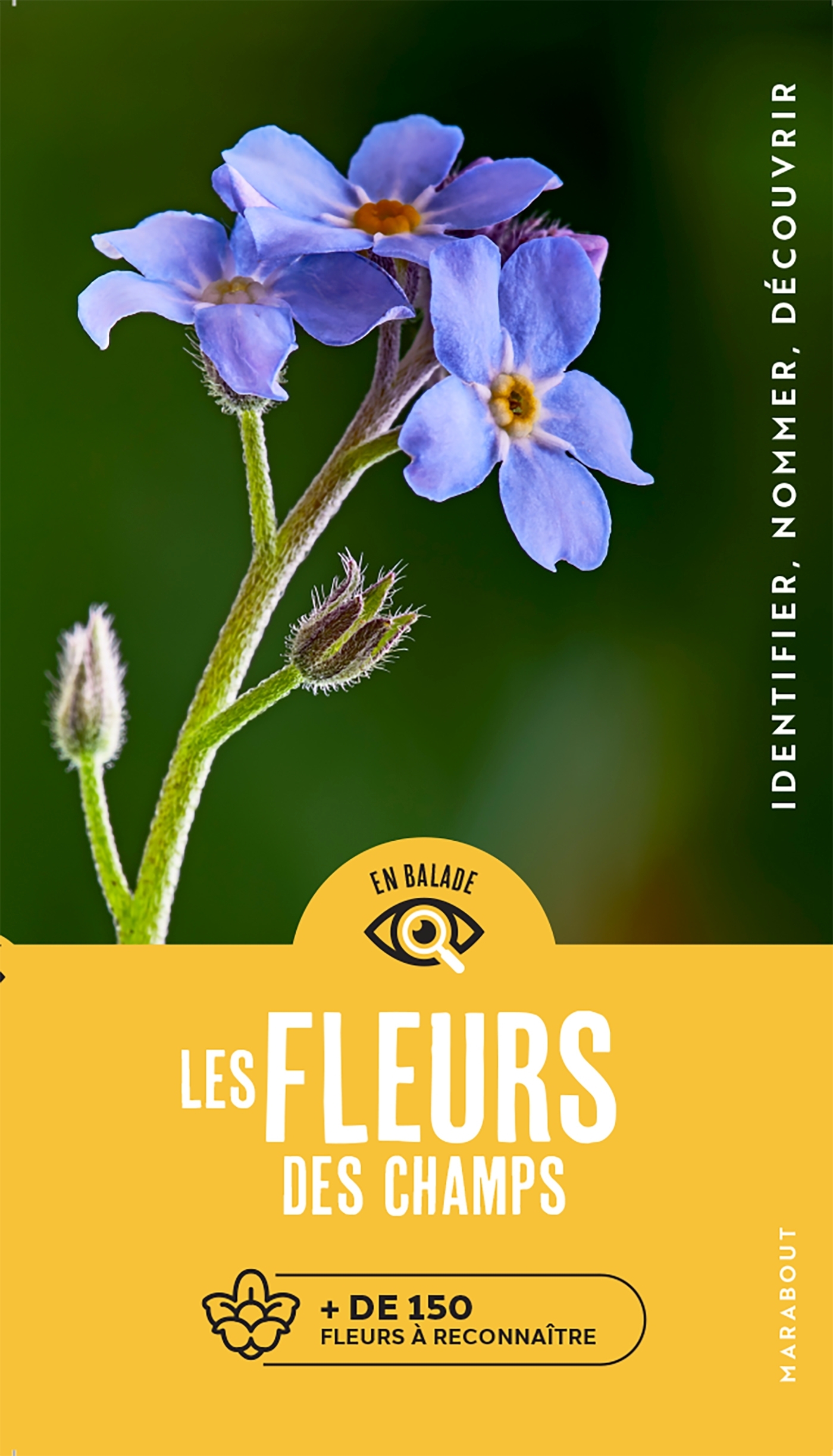 En balade - Les fleurs
