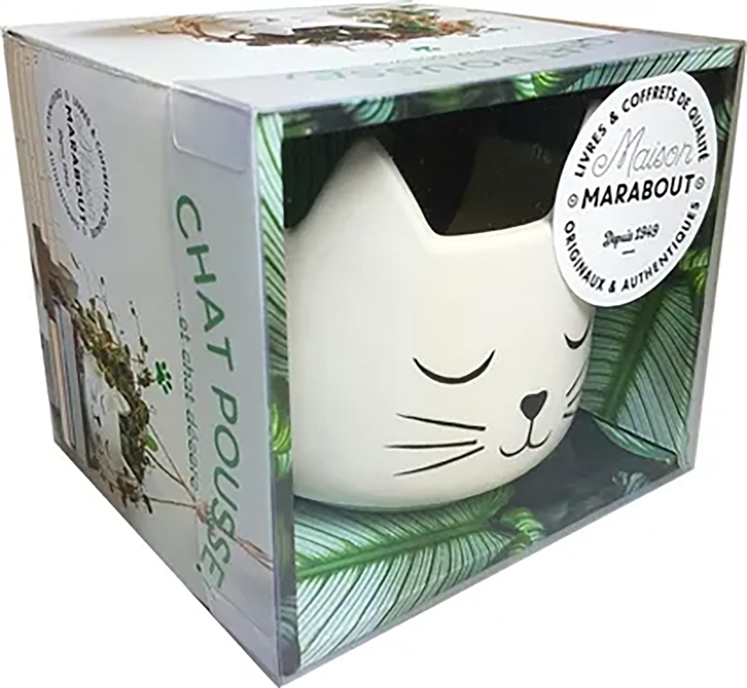 Coffret Chat pousse