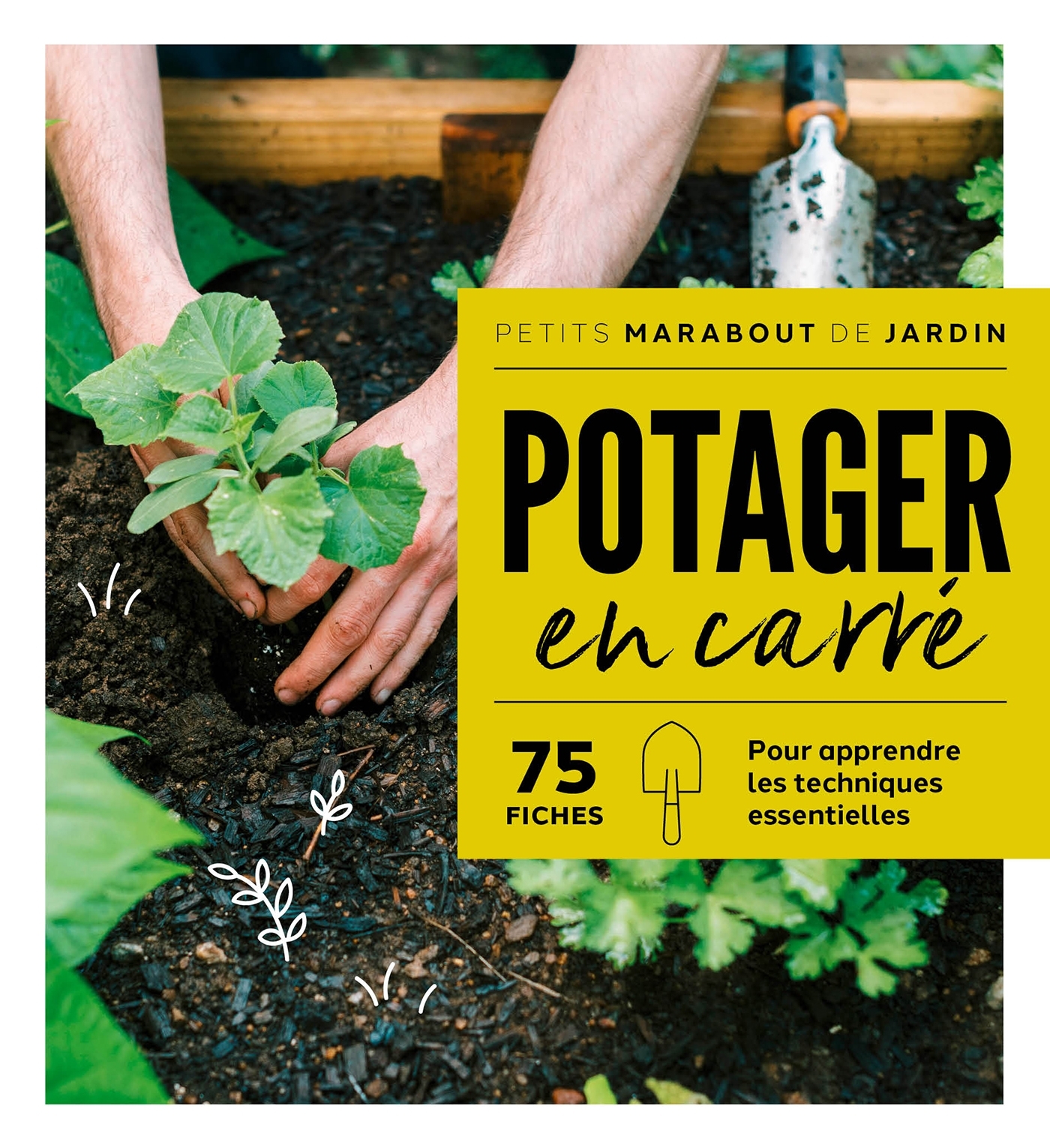 Potagers en carré