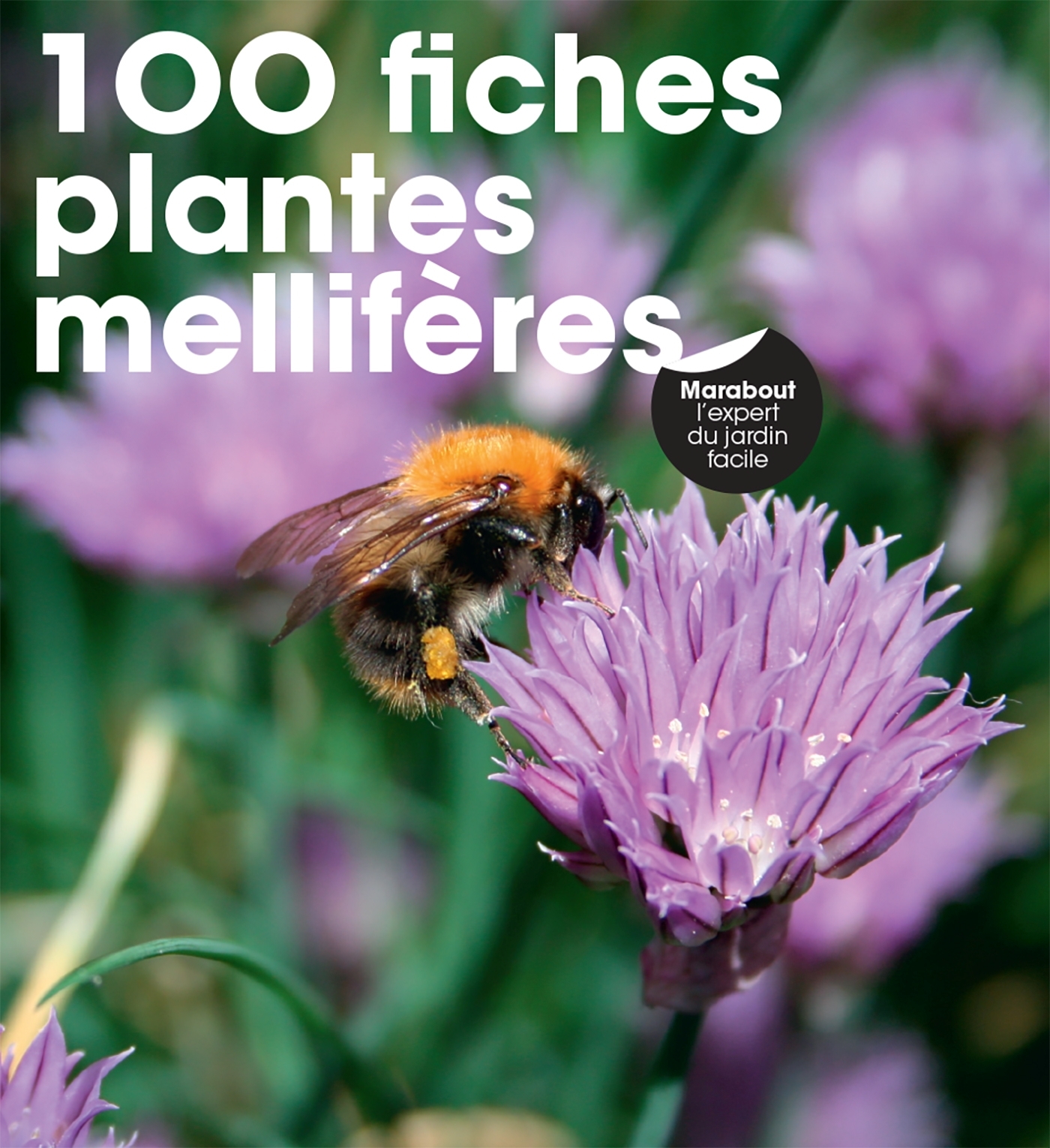 100 fiches plantes mellifères