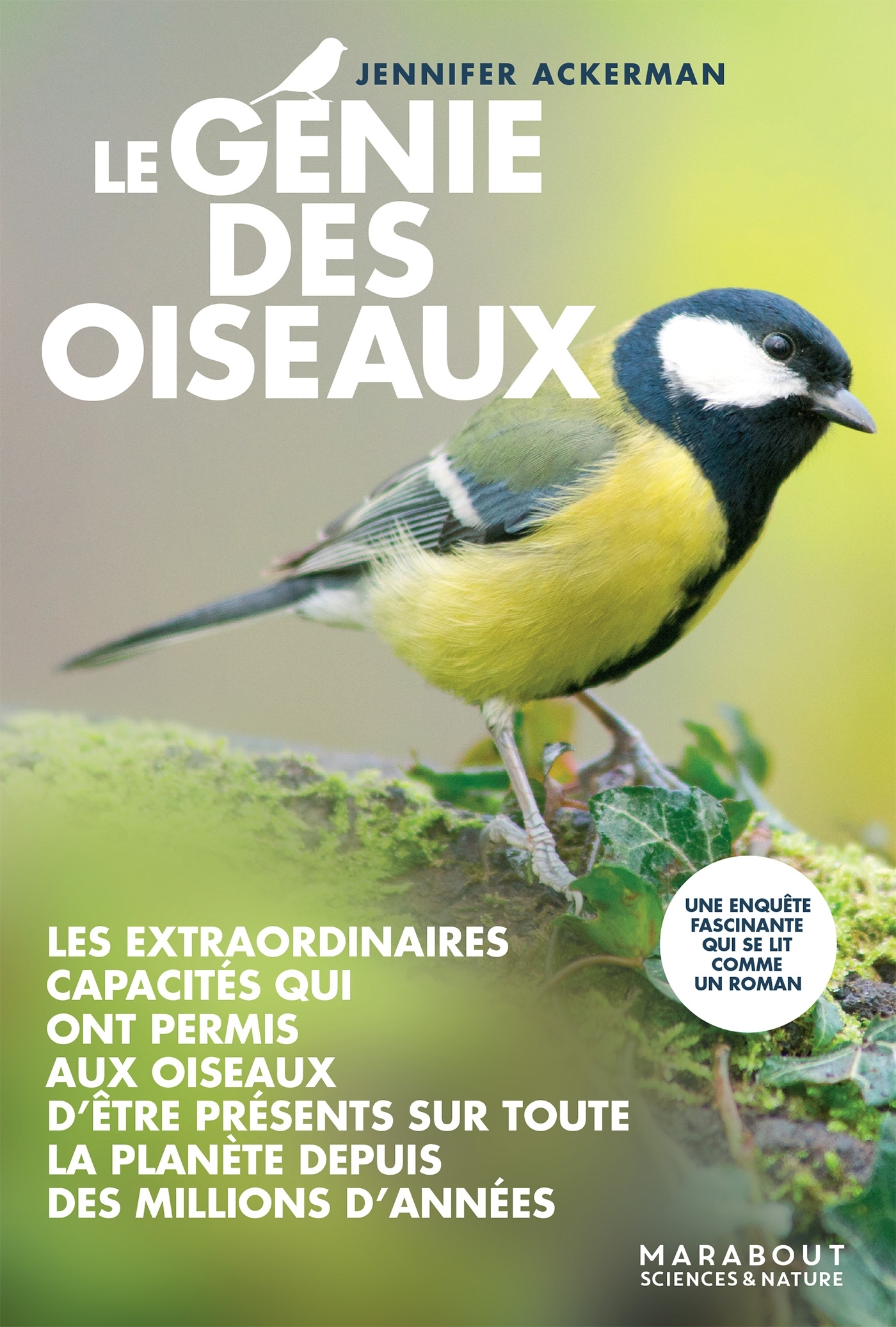 Le génie des oiseaux