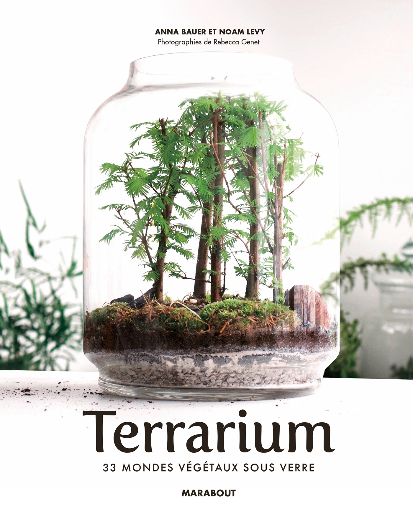Terrarium