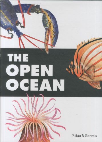 The Open Ocean