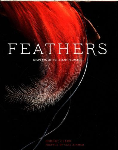 FEATHERS