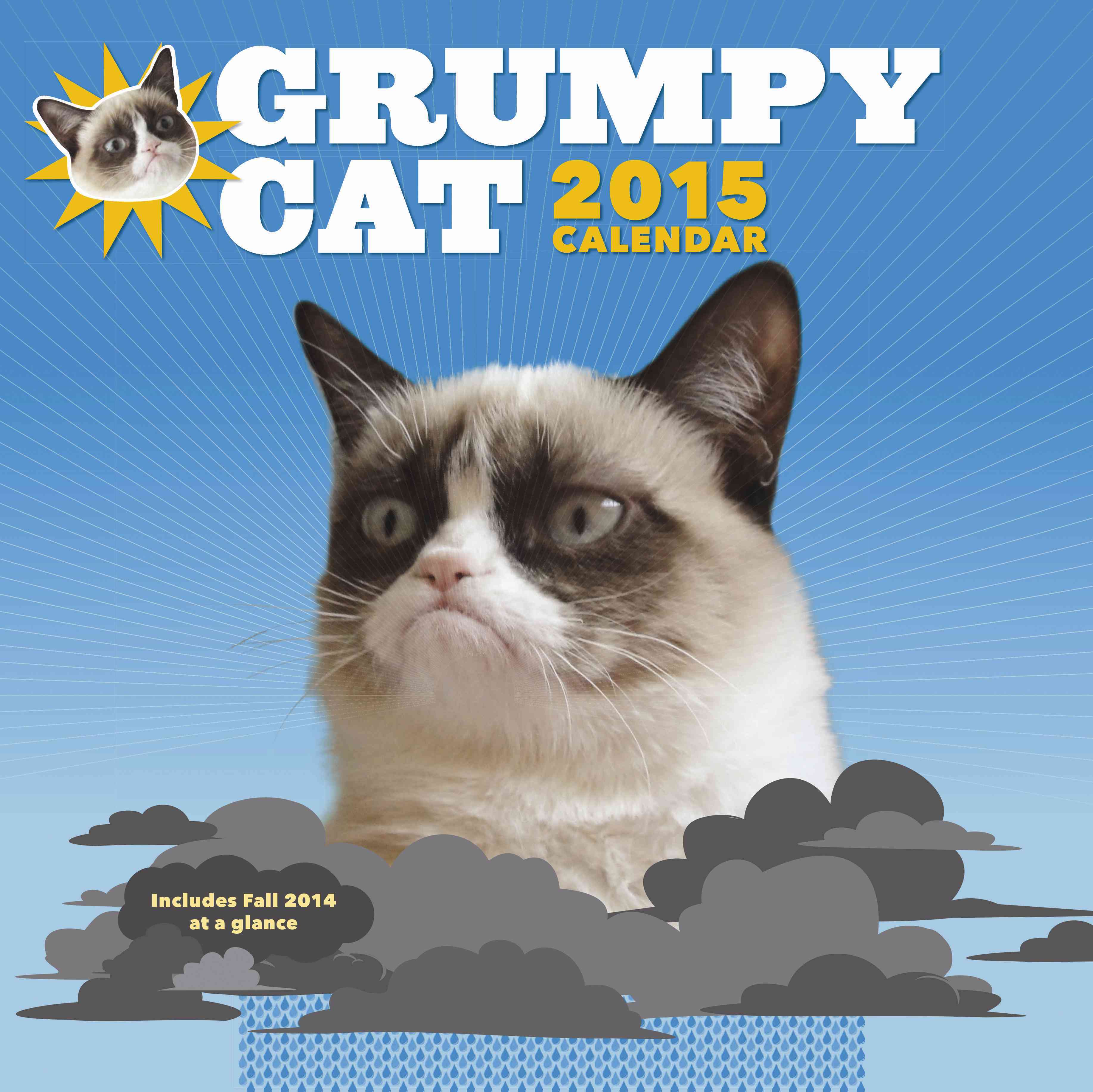 GRUMPY CAT 2015 WALL CALENDAR