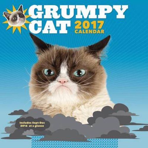 GRUMPY CAT 2017