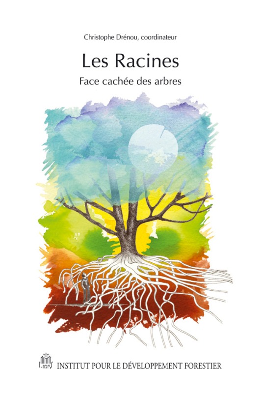 Les racines face cachée des arbres