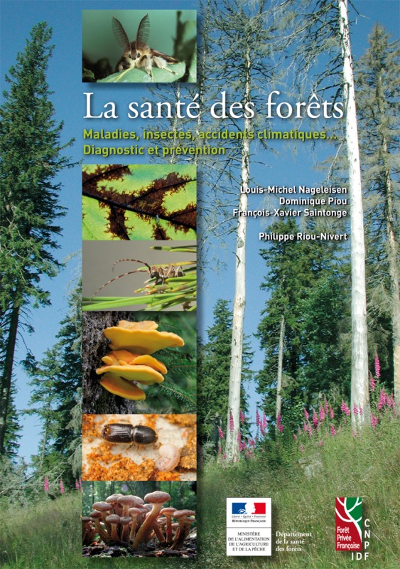 La santé des forêts maladies, insectes, accidents climatiques