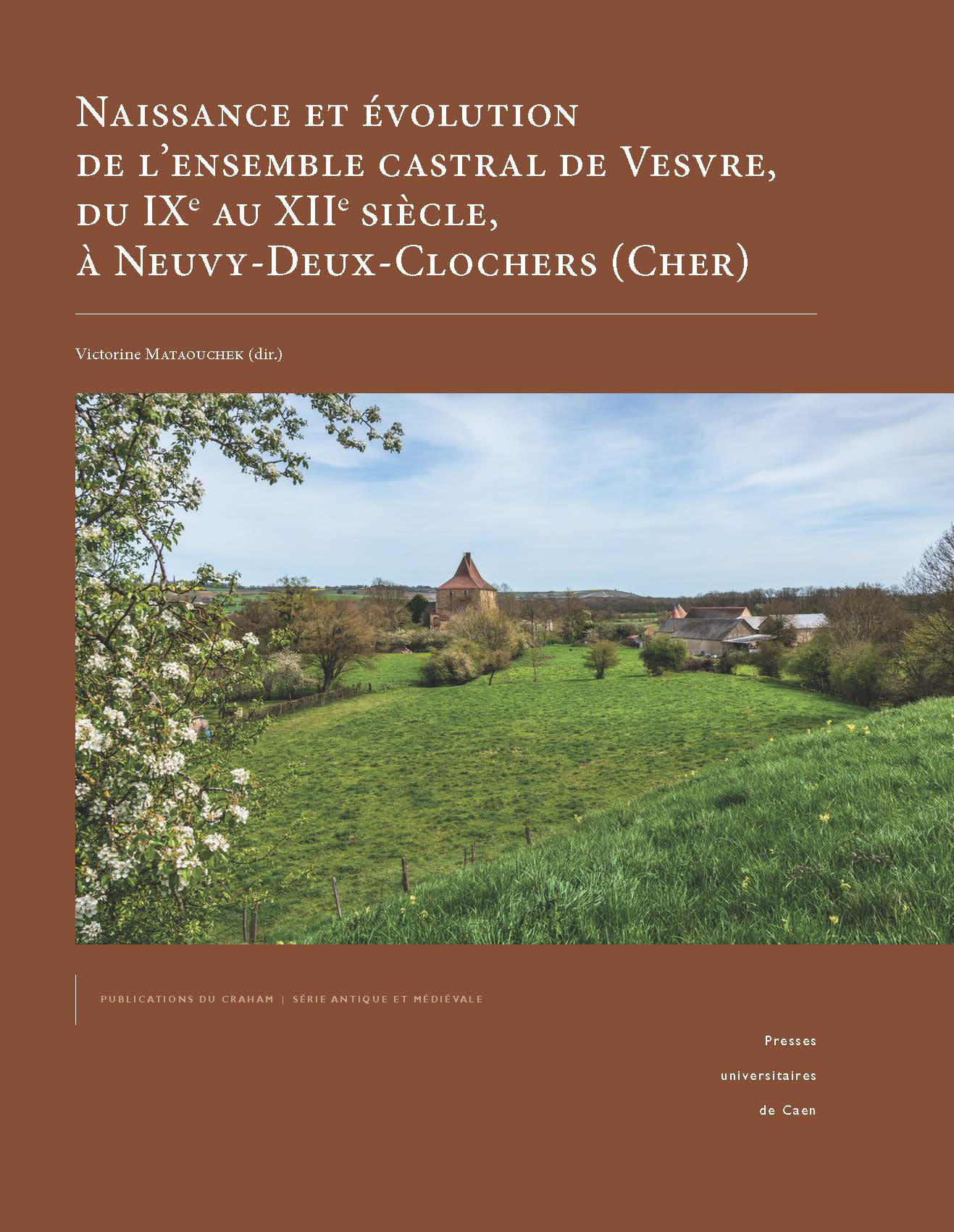 NAISSANCE ET EVOLUTION DE L'ENSEMBLE CASTRAL DE VESVRE, DU IXE AU XIIE SIECLE, A NEUVY-DEUX-CLOCHERS