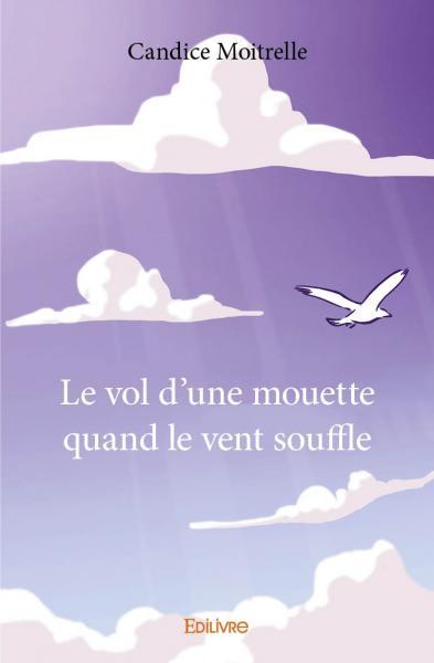 Le vol d'une mouette quand le vent souffle