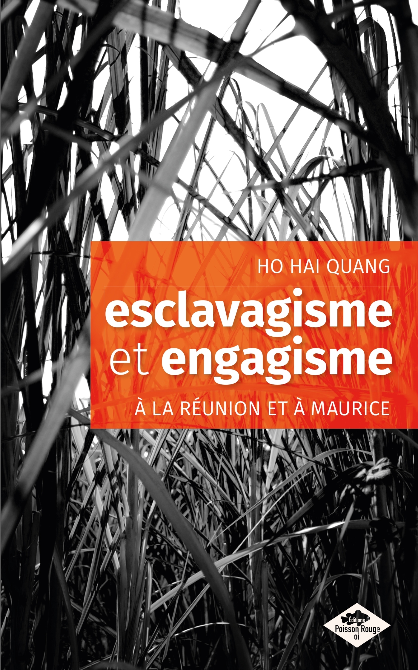 esclavagisme et engagisme à La Réunion et à Maurice