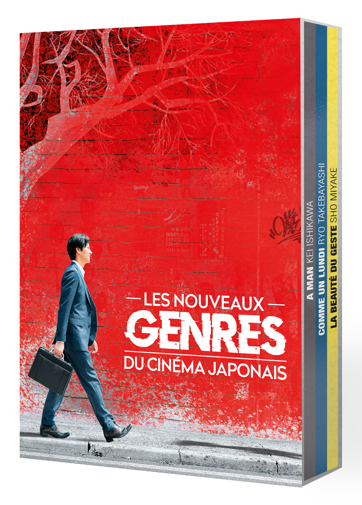 NOUVEAUX GENRES DU CINEMA JAPONAIS (LES) - COLLECTION HANABI - V3 - 3 DVD