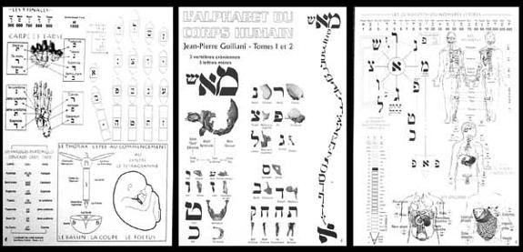 Alphabet du corps humain