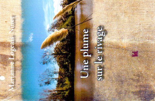 Une plume sur le rivage