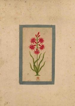 Carnet Blanc, Fleur 1, miniature Indienne 18e siècle