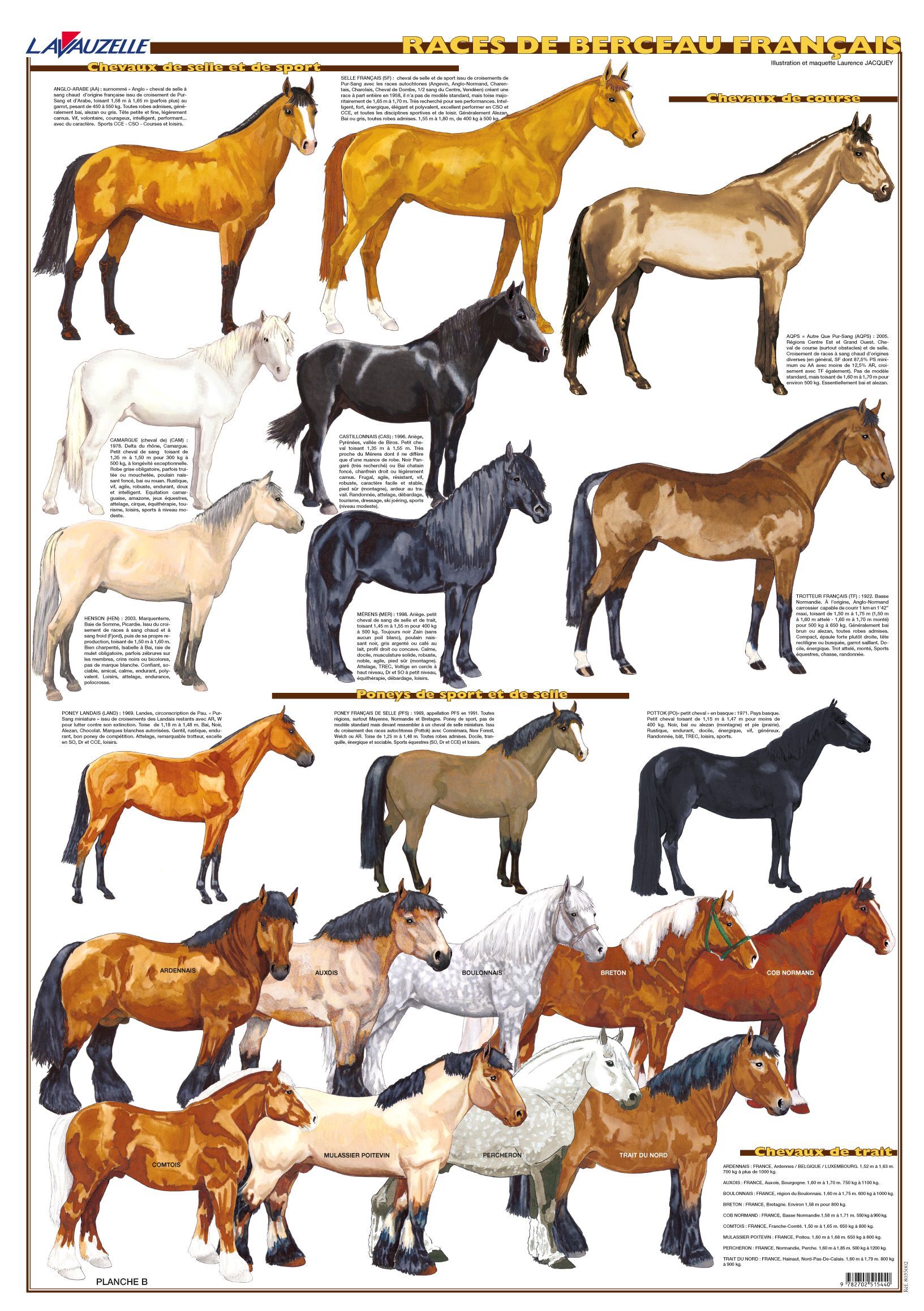 PLANCHE HIPPOLOGIE - LES RACES DE BERCEAU FRANCAIS