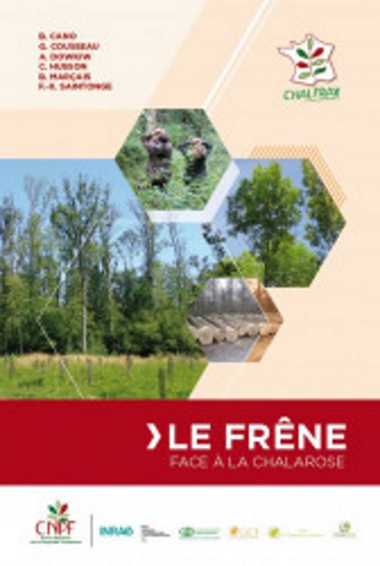 LE FRENE FACE A LA CHALAROSE