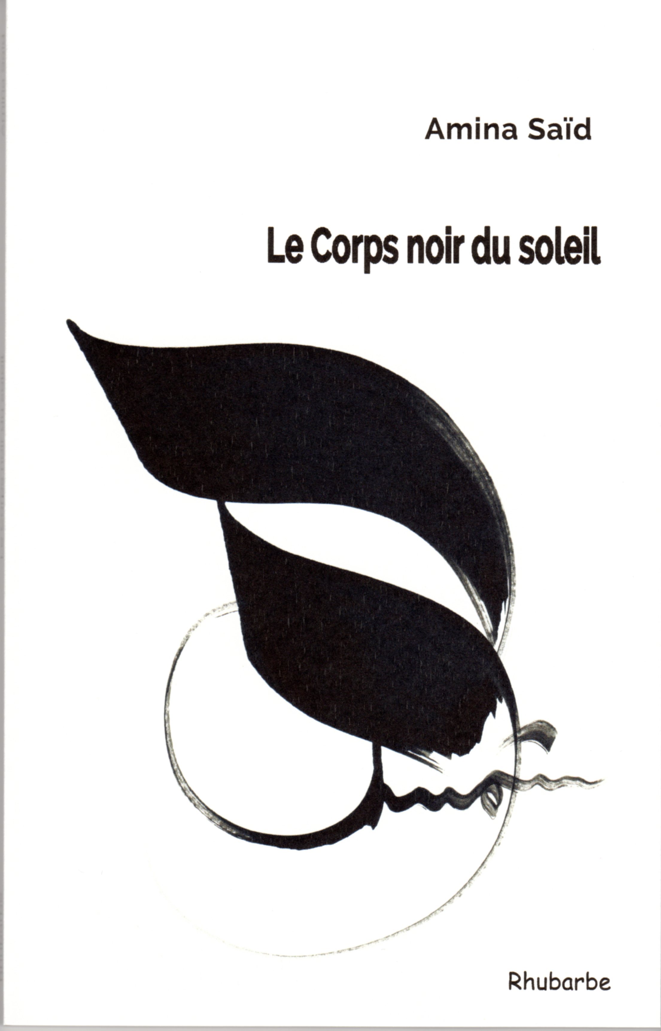 Le Corps noir du soleil