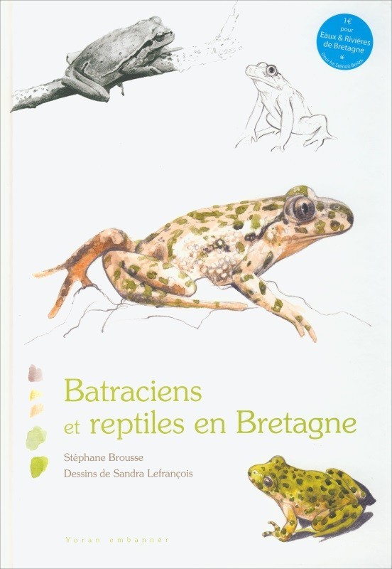 Batraciens et reptiles en Bretagne