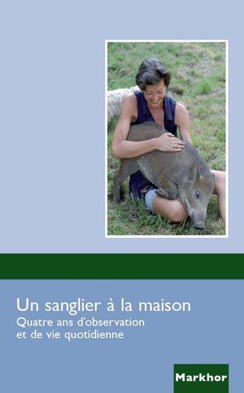 Un sanglier à la maison