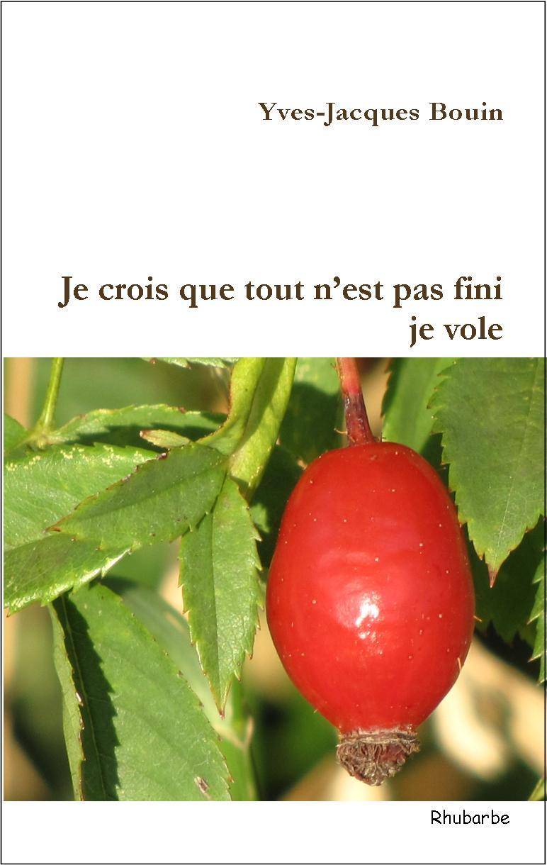 Je crois que tout n'est pas fini, je vole