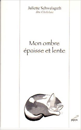 Mon ombre épaisse et lente