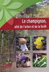 LE CHAMPIGNON, ALLIÉ DE L'ARBRE ET DE LA FORÊT