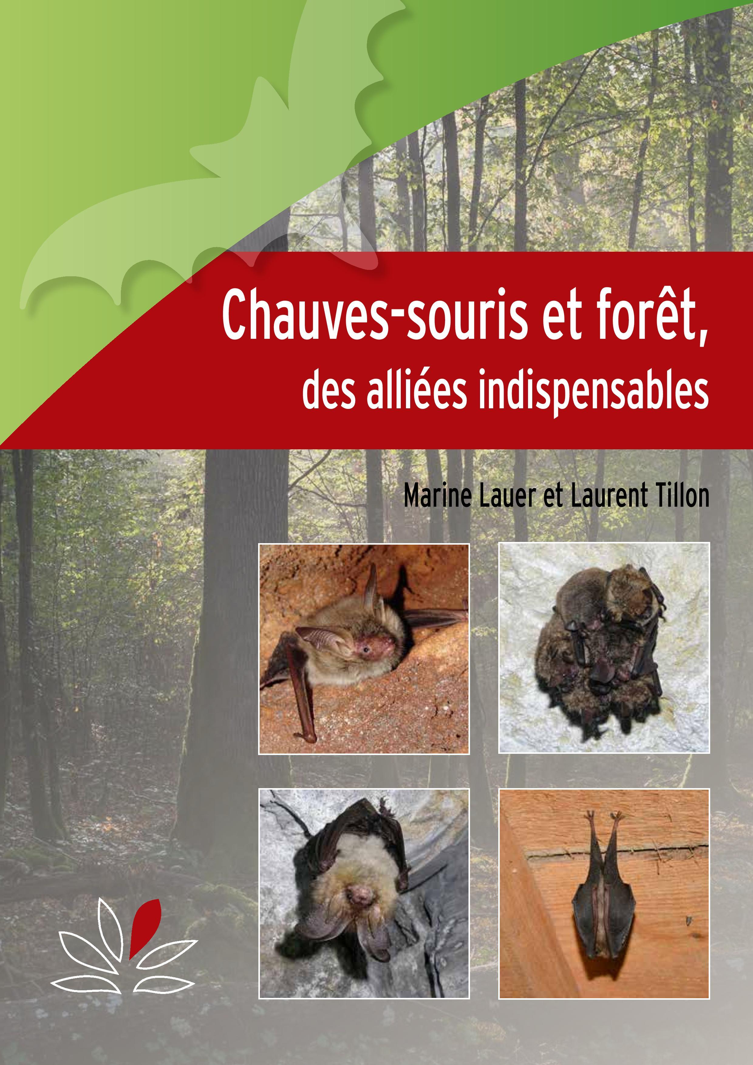 Chauves-souris et forêt
