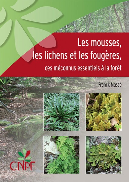 LES MOUSSES, LES LICHENS ET LES FOUGERES, CES MECONNUS ESSENTIELS A LA FORET