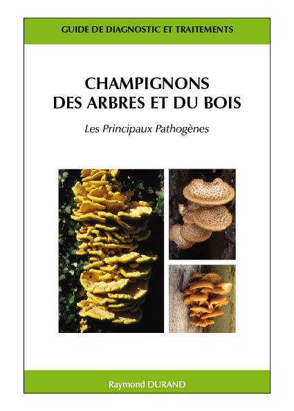Champignons des arbres et du bois