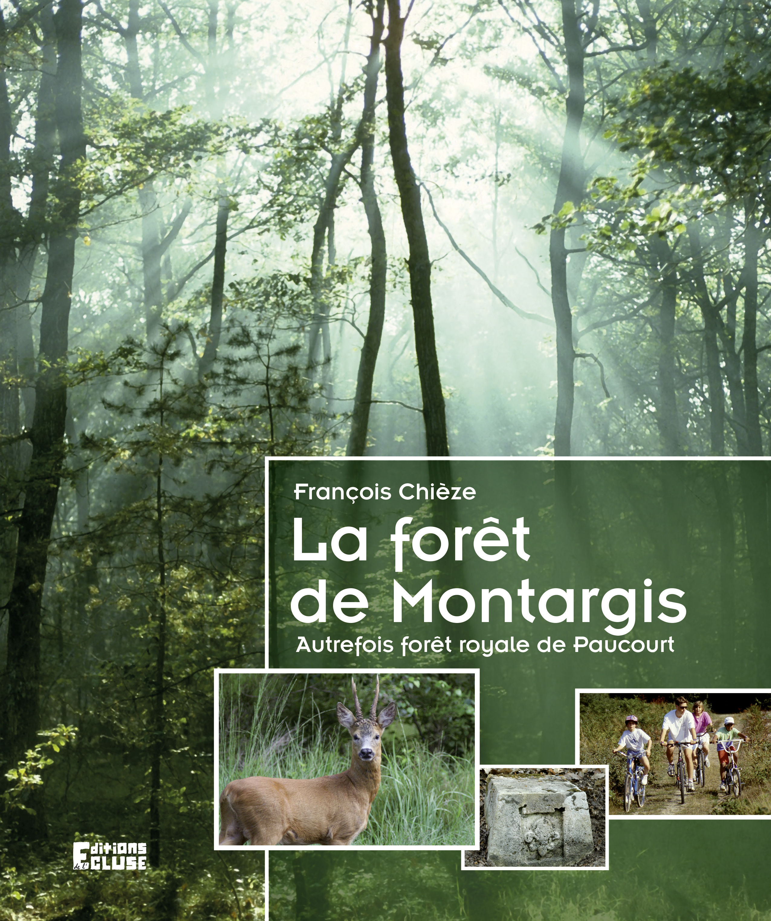 La forêt de Montargis - Autrefois forêt royale de Paucourt