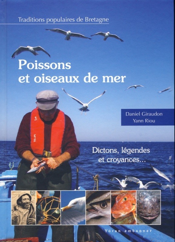 Poissons et oiseaux de mer