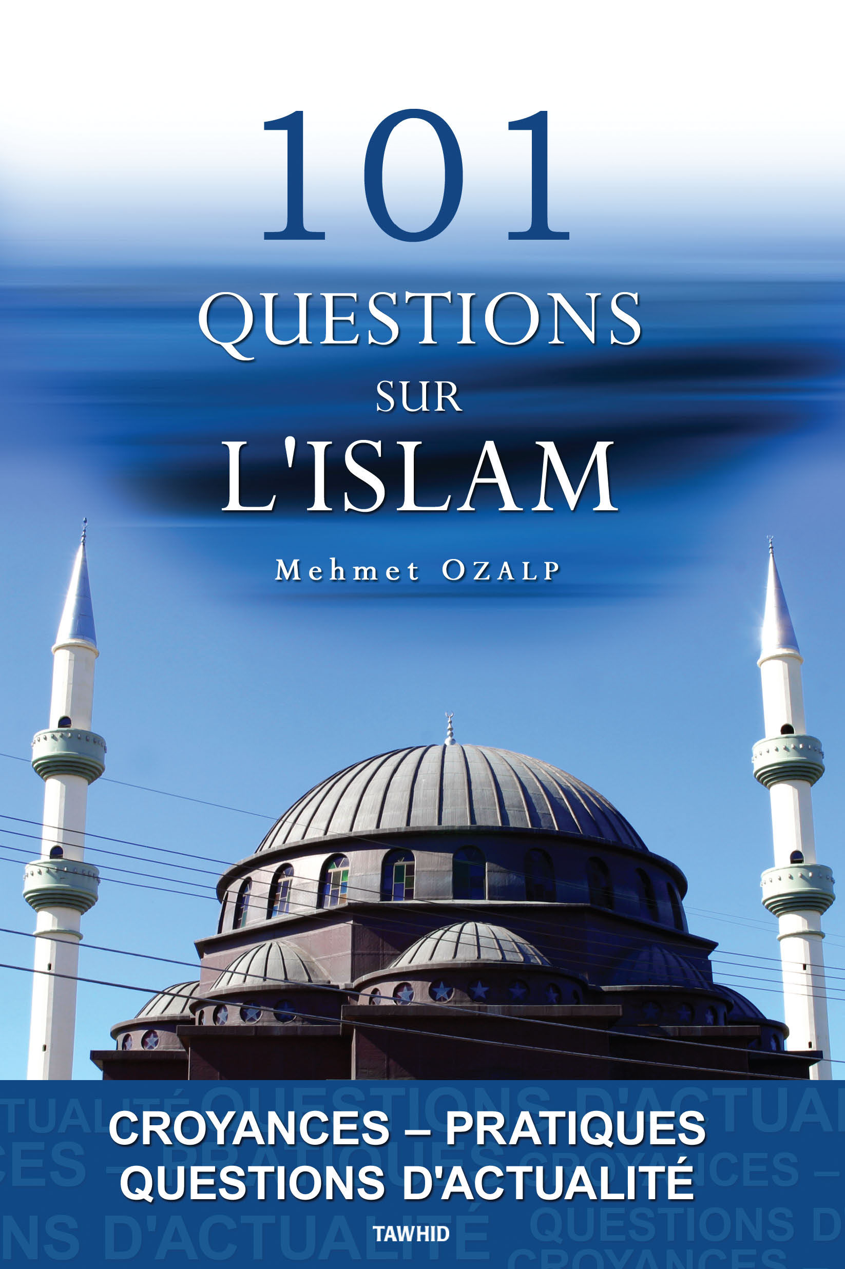 101 QUESTIONS SUR L'ISLAM (CROYANCES-PRATIQUES-ACTUALITÉS)