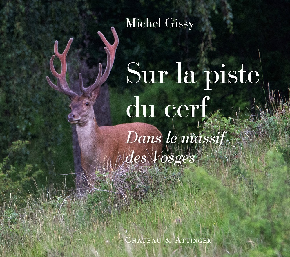 SUR LA PISTE DU CERF