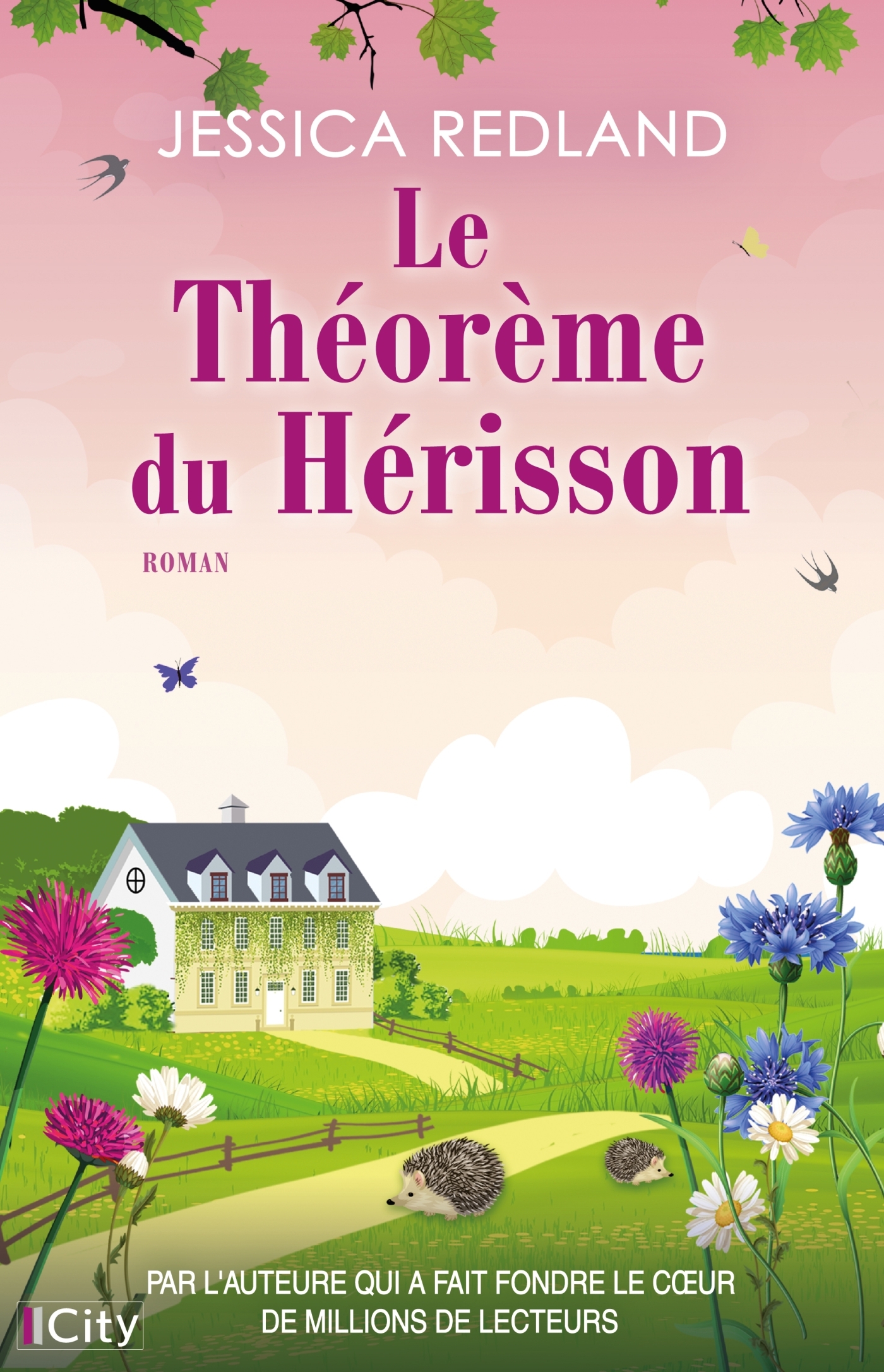 Le théorème du hérisson