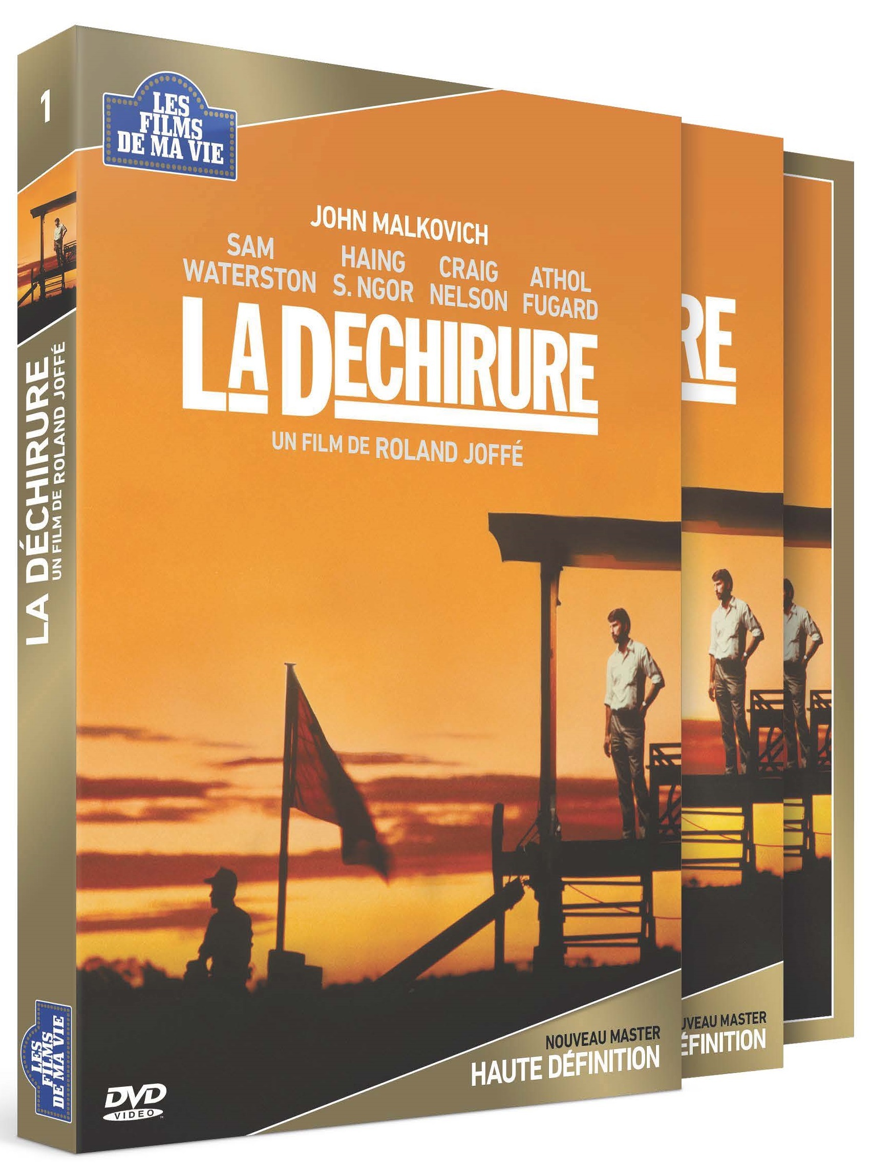 LA DECHIRURE