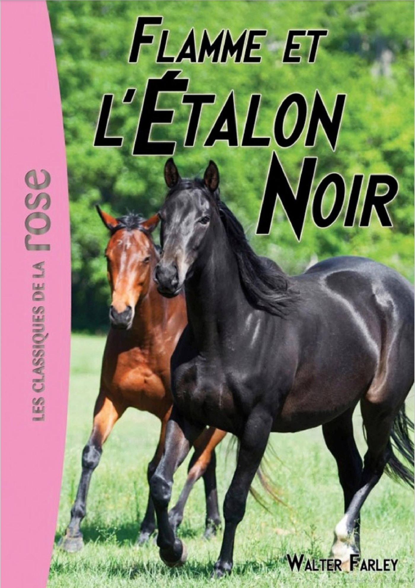 L'Étalon Noir 17 - Flamme et l'Étalon Noir